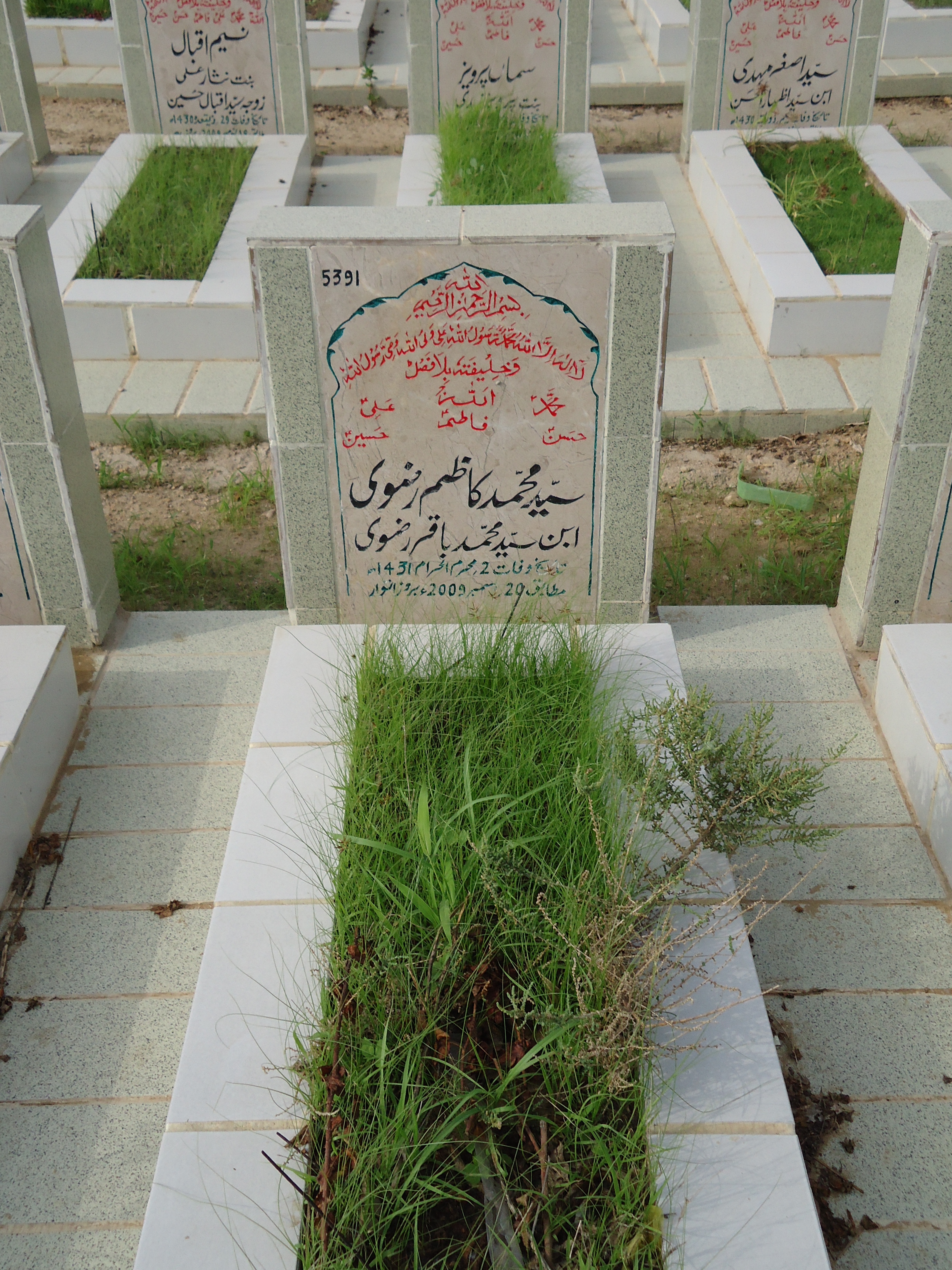 5391 – Syed Mohd Kazim Rizvi